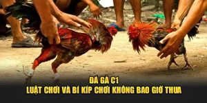 Đá Gà C1 – Quy Định Và Bí Kíp Chơi Không Bao Giờ Thua